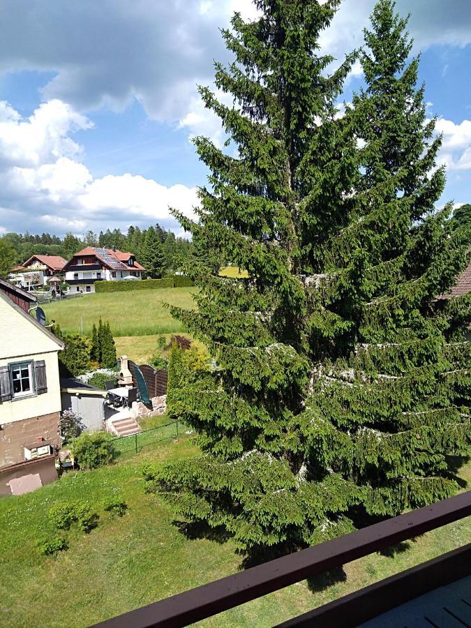Ferienwohnung Rita Freudenstadt Buitenkant foto